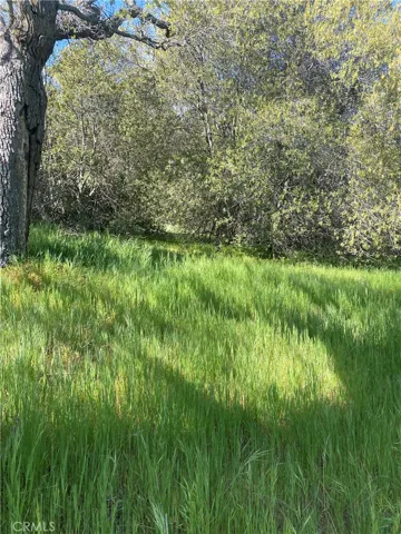 0 Digier Road, Lebec, California 93243