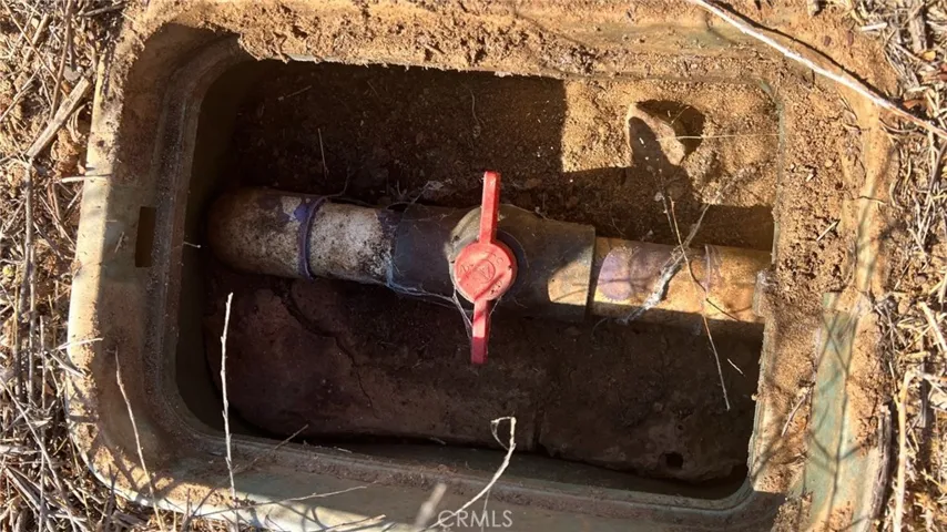 Irrigation Line on Main Pad