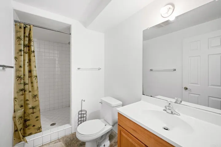Bonus bathroom in garage 13x5