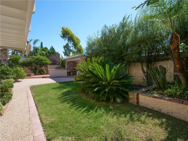Grassy backyard