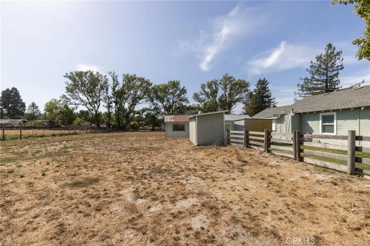 House #2 -Backyard