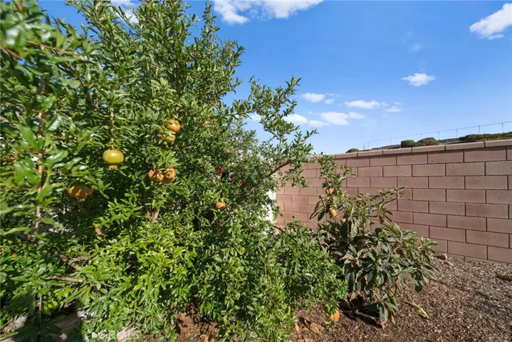 1035 Marigold Court, Calimesa, California 92320