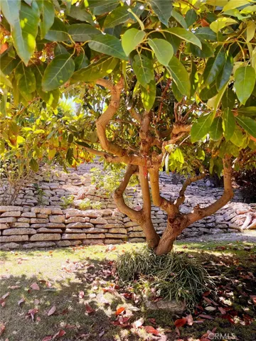 Inviting stone-lined walking path draws you down to multiple flat pads for entertaining and play.