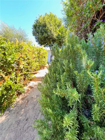 Inviting stone-lined walking path draws you down to multiple flat pads for entertaining and play.