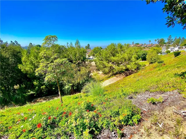 941 S Boone Circle, Anaheim Hills, California 92807