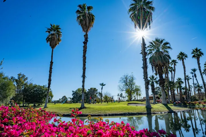 Hope Drive Indian Palms-0588