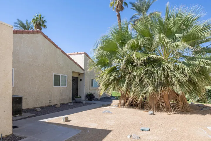 49135 Barrymore-9263