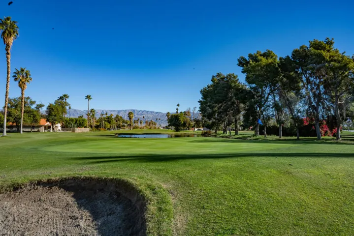 Hope Drive Indian Palms-0585