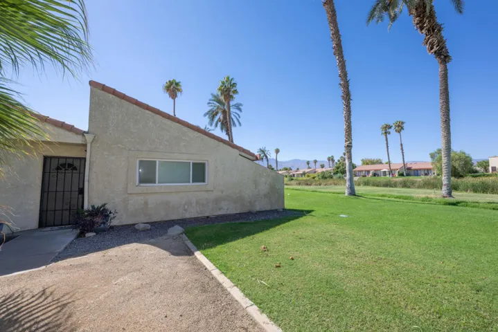 49135 Barrymore-9280