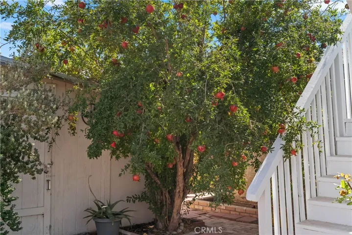917 Cottonwood Drive, Barstow, California 92311