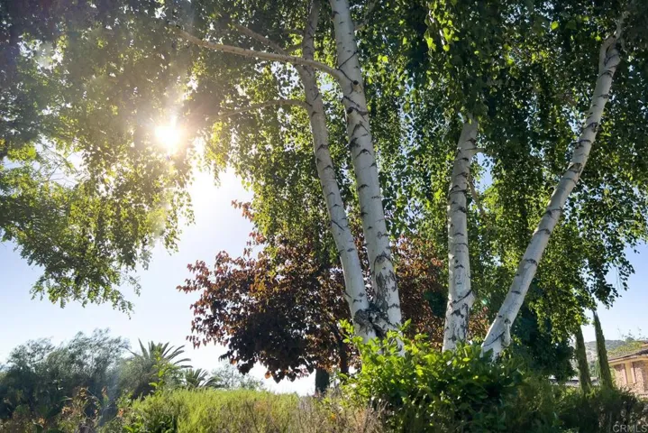 26813 Saint Andrews Lane, Valley Center, California 92082