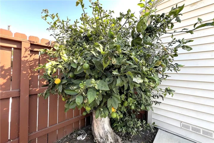 1427 E 68th Street, Long Beach, California 90805
