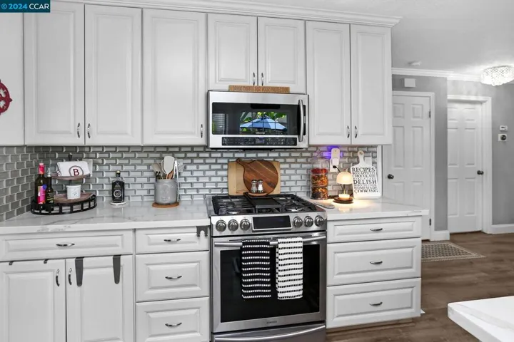 1004 New Holland Ct, Brentwood, California 94513-2510