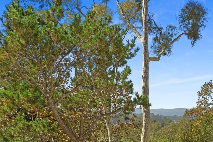 25652 Fallenwood, Lake Forest, California 92630