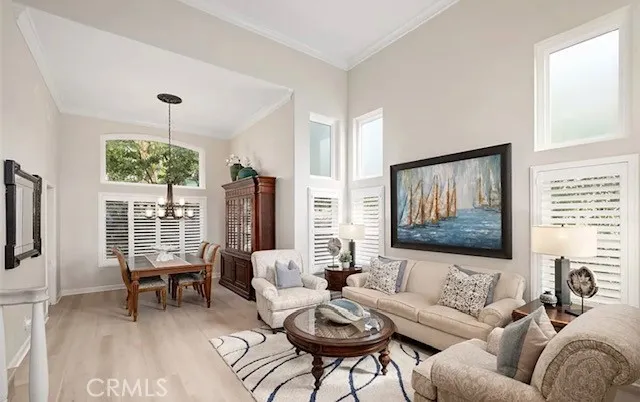 12 Larkspur Drive, Aliso Viejo, California 92656