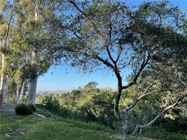 6549 E Camino Vista 2, Anaheim Hills, California 92807
