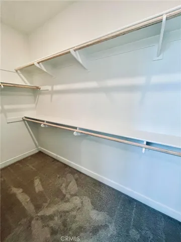 Master Closet