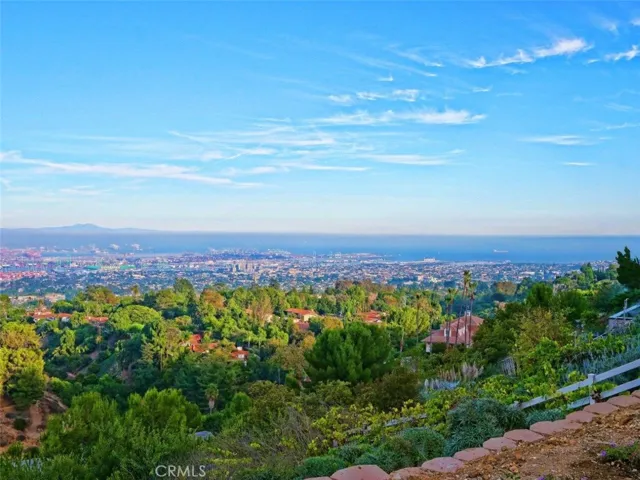 View from the house