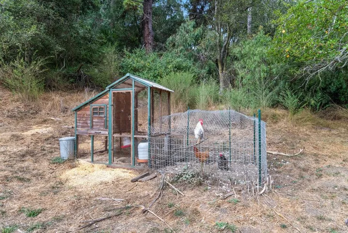 328 White, Watsonville, California 95076