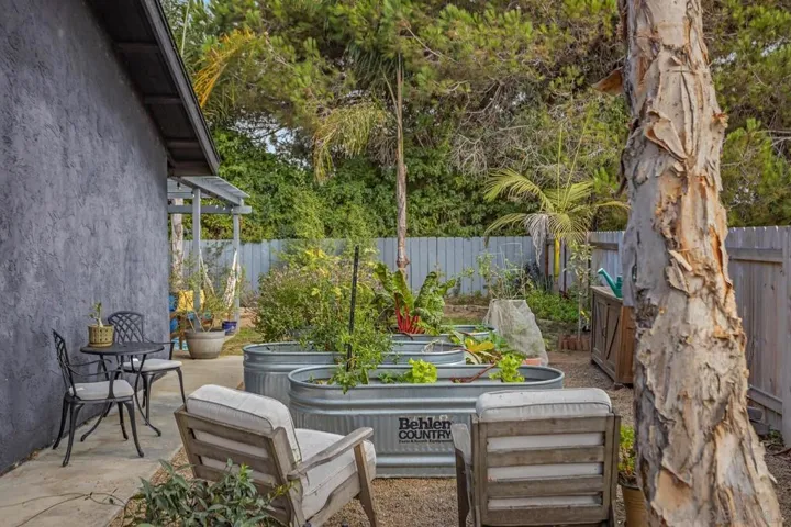 Yard
