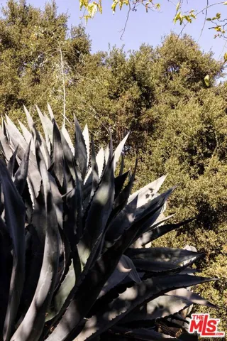 248 Furness Avenue, Los Angeles, California 90042