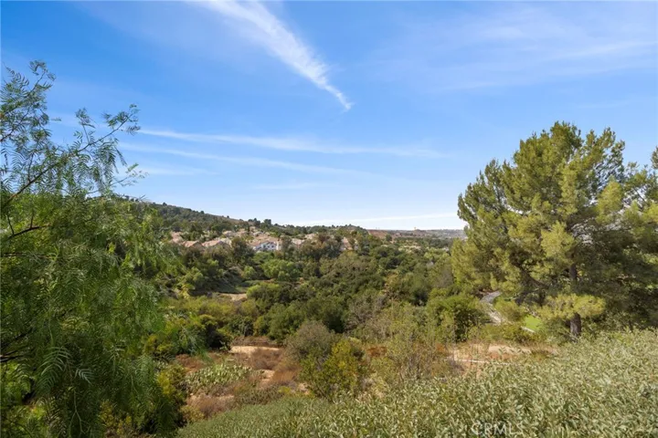 941 S Ogden Court, Anaheim Hills, California 92808