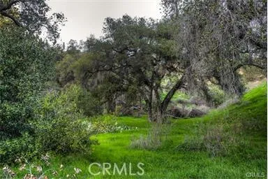 682 Deodar Lane, Bradbury, California 91008 home-pic-31