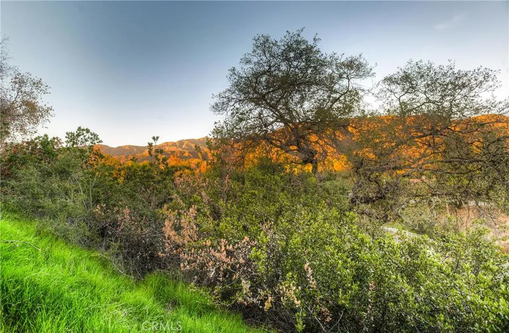 682 Deodar Lane, Bradbury, California 91008 home-pic-19