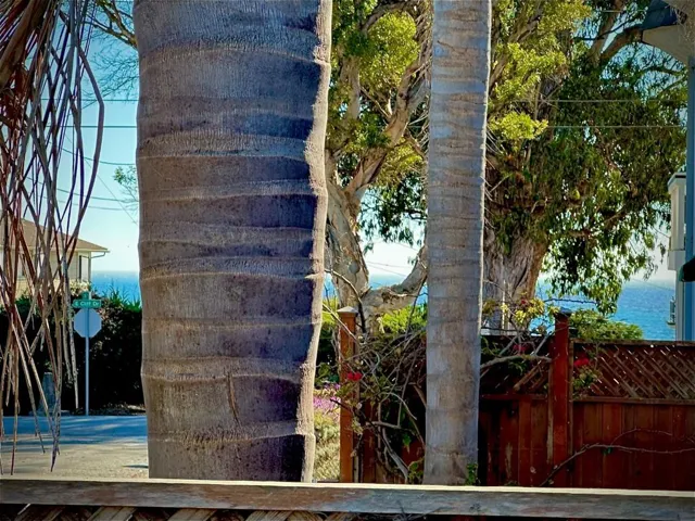 231 19th Avenue, Santa Cruz, California 95062