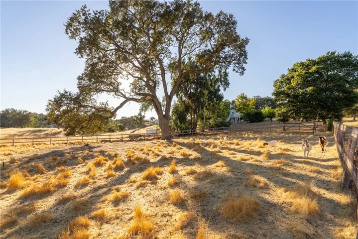 1285 Beaver Creek Lane, Paso Robles, California 93446