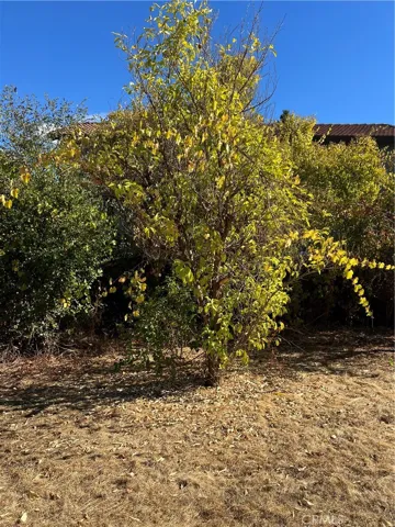 502 Venezia Way, Cloverdale, California 95425