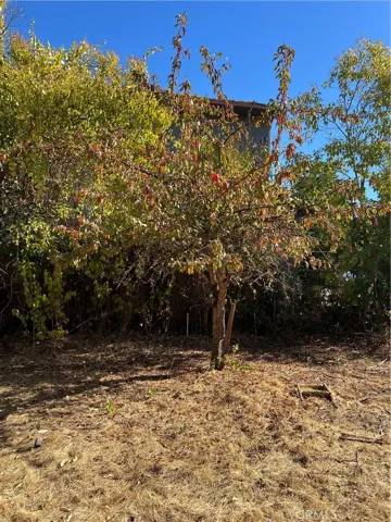 502 Venezia Way, Cloverdale, California 95425