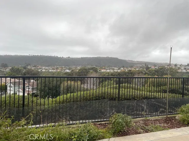 Panoramic Views