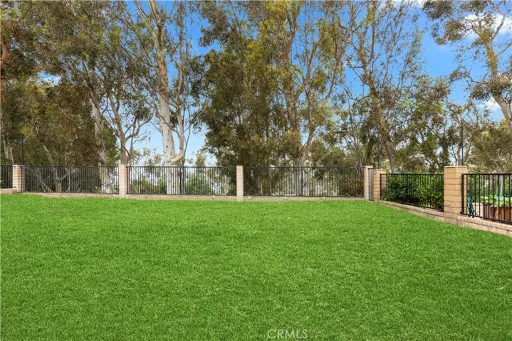 virtual grass