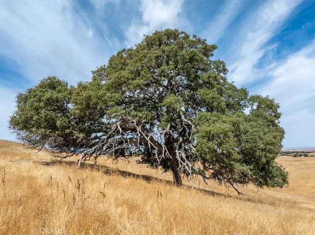 0 Vista Del Paso Way, Paso Robles, California 93446