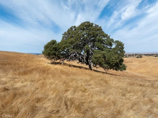 0 Vista Del Paso Way, Paso Robles, California 93446