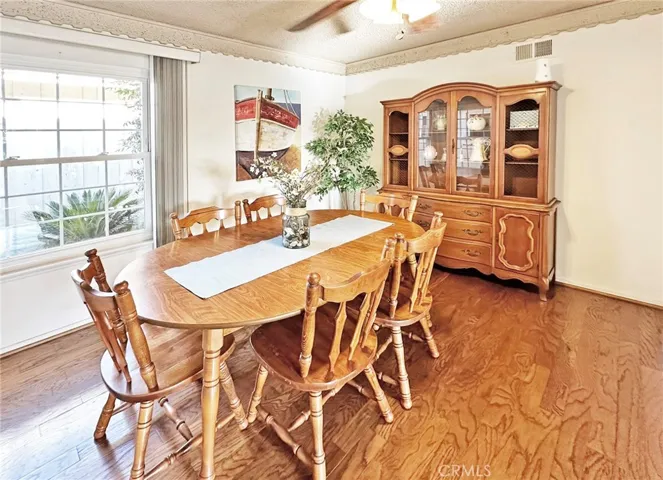 All Dual Pane French-Style Windows Throughout House
