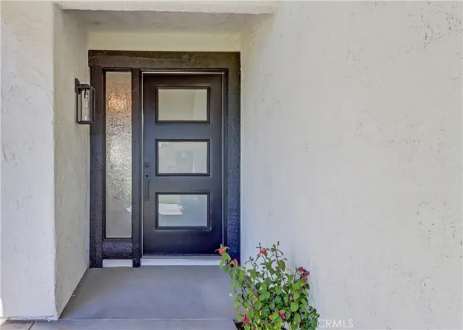 Designer front door
