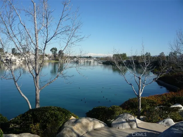 65 Goldenrod, Irvine, California 92614