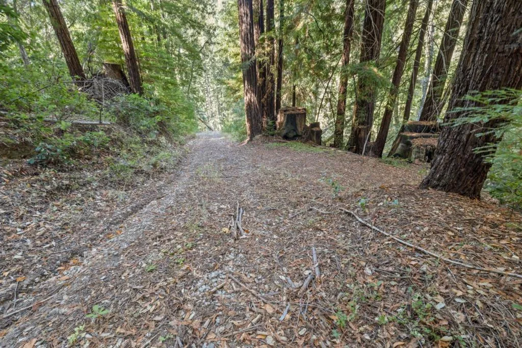 19900 Kings Creek Road, Boulder Creek, California 95006 — photo 4