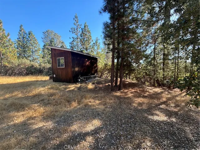 Shed Angle View
