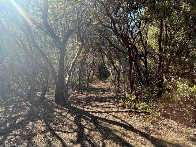 Amazing Walking Trail