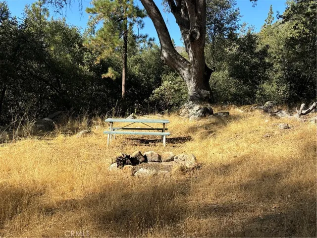 Secondary Fire Pit Area