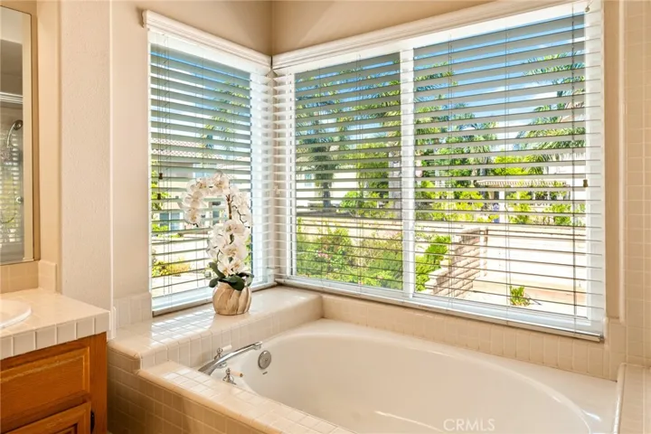 732 S Morningstar Drive, Anaheim Hills, California 92808