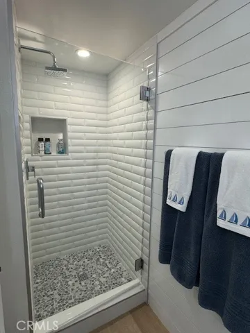 Downstairs bathroom shower