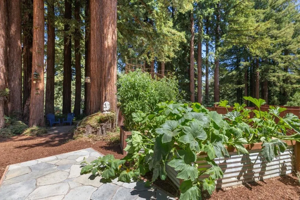 674 Mountain View Drive, Ben Lomond, California 95005 home-pic-15