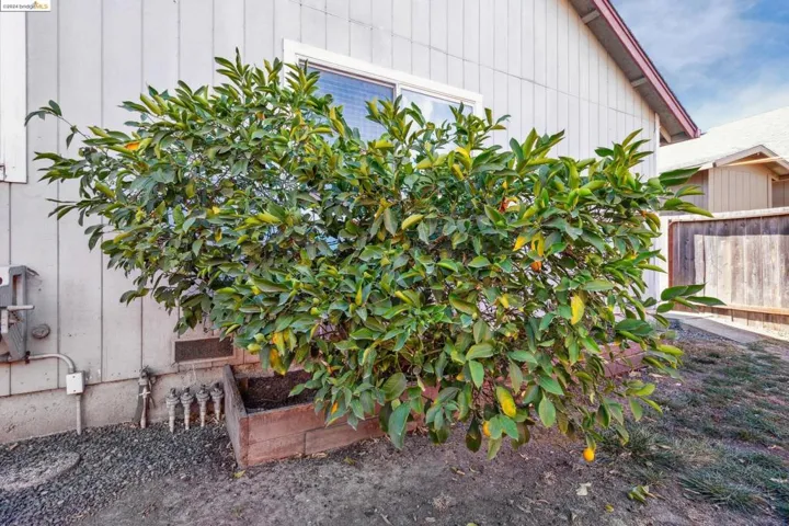 639 Elsa Dr, Santa Rosa, California 95407
