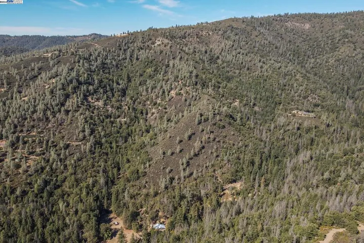 751 Mule Gulch Road, Douglas City, California 96024