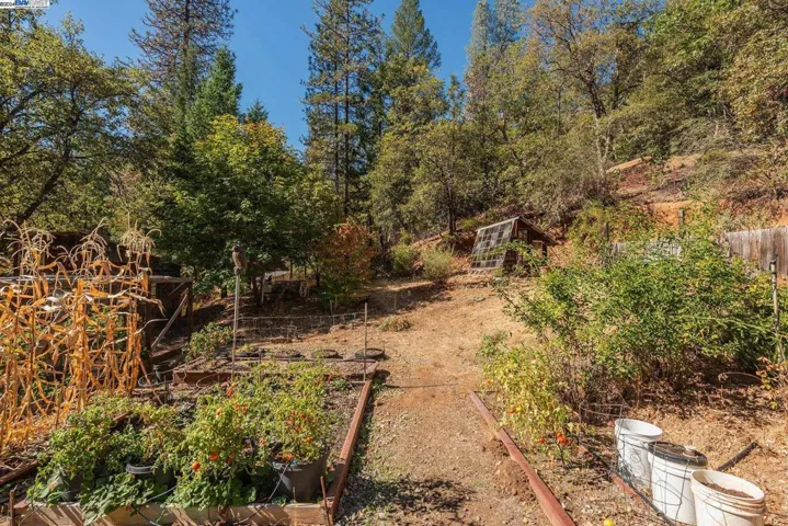 751 Mule Gulch Road, Douglas City, California 96024