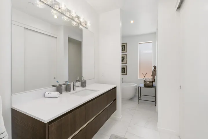 Skylar Master Bathroom Counter Shot